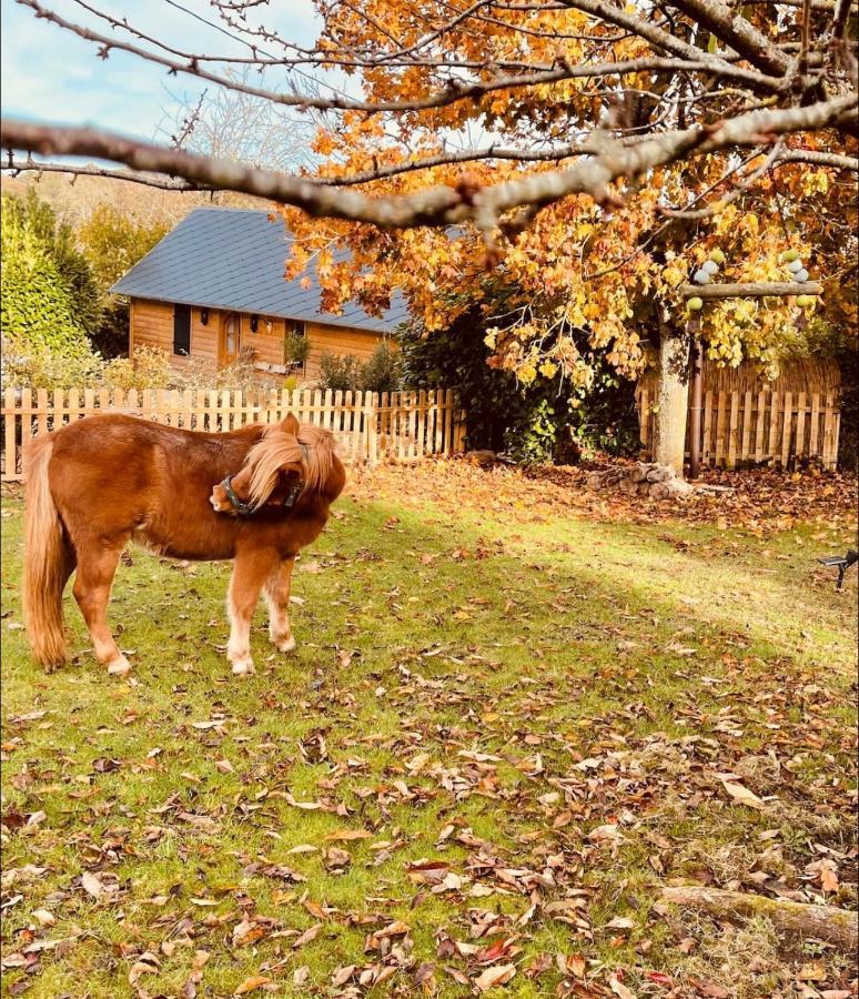 Cottage Normand Avec Sa Grande Piscine Chauffee Toute L Annee Sur Parc Arbore Et Clos En Plein Coeur De La Campagne Adapte Aux Kids Et Dog Friendly Saint-Antonin-de-Sommaire 外观 照片