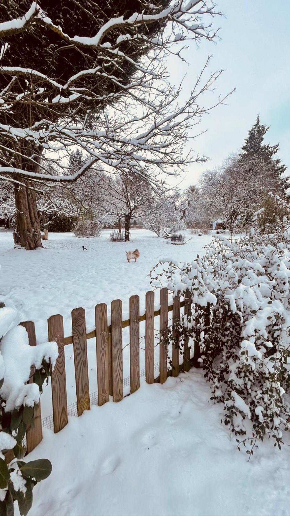Cottage Normand Avec Sa Grande Piscine Chauffee Toute L Annee Sur Parc Arbore Et Clos En Plein Coeur De La Campagne Adapte Aux Kids Et Dog Friendly Saint-Antonin-de-Sommaire 外观 照片