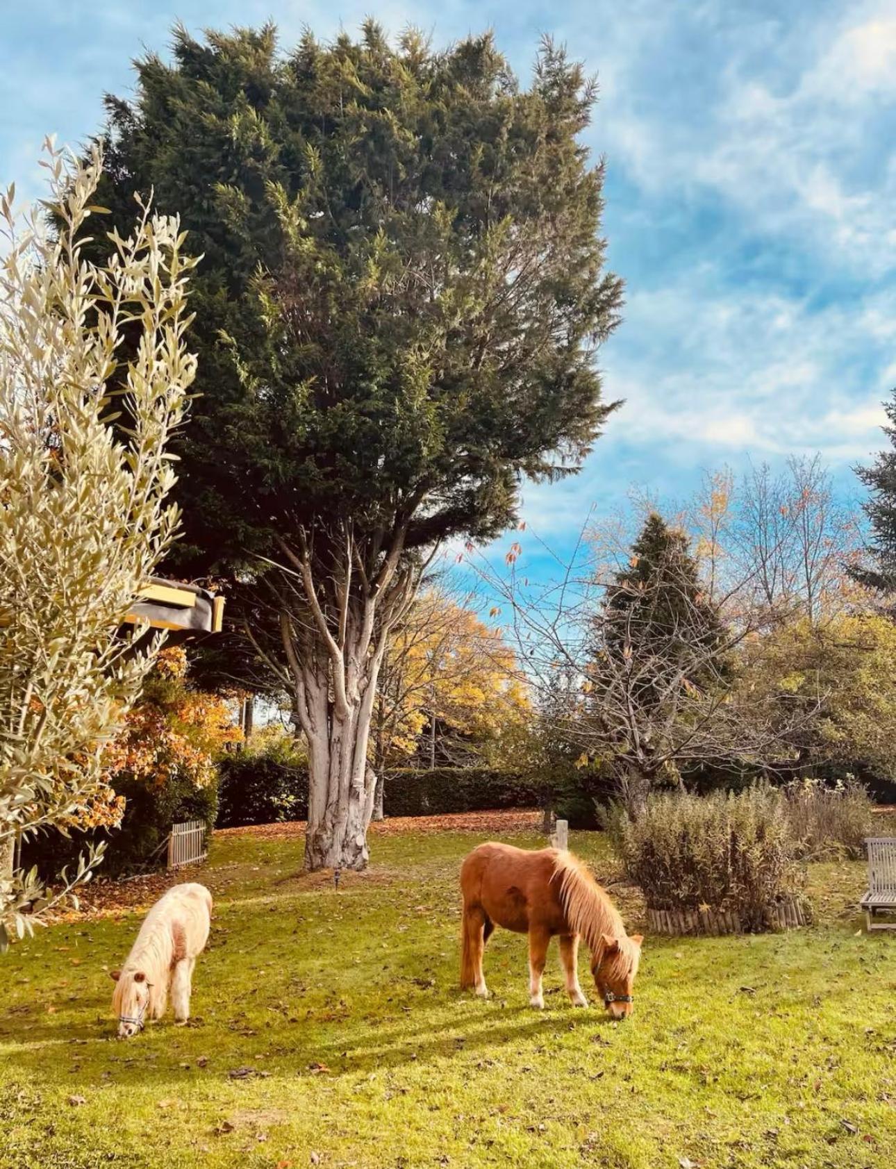 Cottage Normand Avec Sa Grande Piscine Chauffee Toute L Annee Sur Parc Arbore Et Clos En Plein Coeur De La Campagne Adapte Aux Kids Et Dog Friendly Saint-Antonin-de-Sommaire 外观 照片