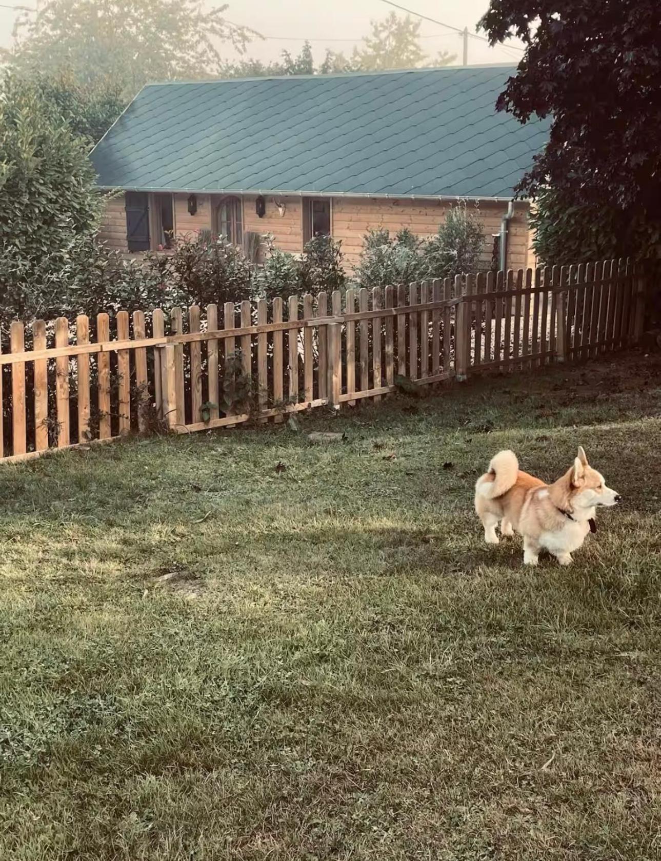 Cottage Normand Avec Sa Grande Piscine Chauffee Toute L Annee Sur Parc Arbore Et Clos En Plein Coeur De La Campagne Adapte Aux Kids Et Dog Friendly Saint-Antonin-de-Sommaire 外观 照片